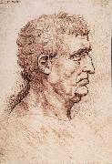 LEONARDO da Vinci Profile of a man Spain oil painting artist
